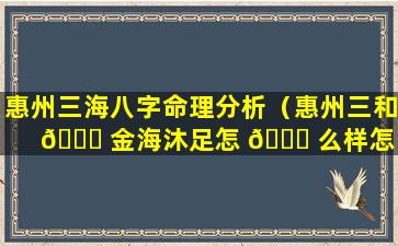 惠州三海八字命理分析（惠州三和 🍀 金海沐足怎 💐 么样怎么样）